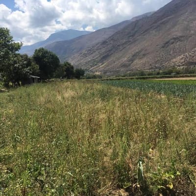 VENDO TERRENO COLPA HUANUCO SOL TODO EL AO