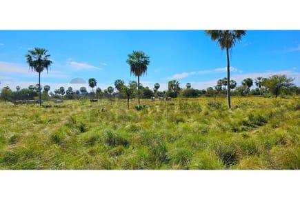 Estancia/Campo - Venta - Campo Aceval, Presidente Hayes, Paraguay
