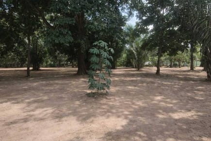 TERRENO EN VENTA – ZONA NORTE WARNES