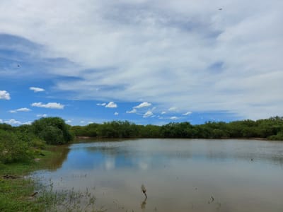 Campo de 7.500 Has. en Presidente Hayes, Chaco Paraguayo  Sobre la Ruta PY05