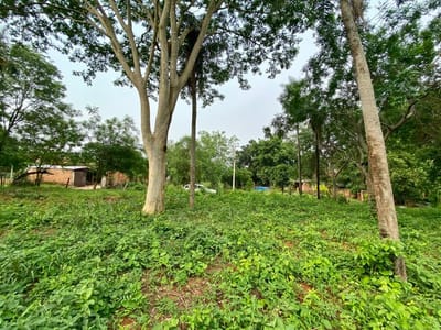 Amplio terreno en Areguá