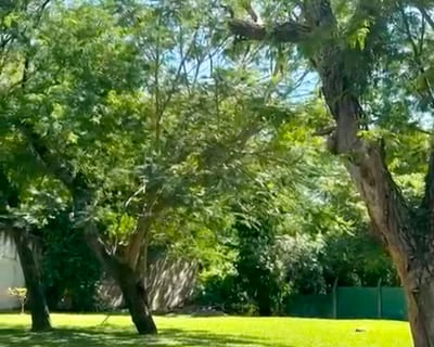 VENDO TERRENO EN SANBER ZONA CENTRICA
