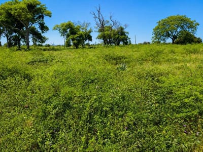TERRENO DE 360m2 EN VENTA EN CHACO’I Excelente oportunidad para invertir