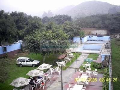 Local Comercial Alquiler Calle Las Perdices - Huachipa