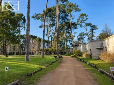 Terreno en venta de 342m2 ubicado en Pinares