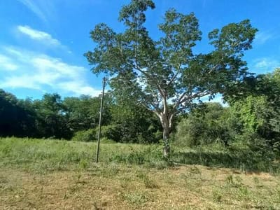 VENTA DE TERRENO EN ATYRA