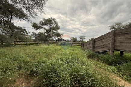 Estancia campo venta Neuland Paraguay 