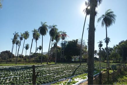 Terreno - Venta - Aregua, Central, Paraguay