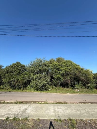 Terrenos En Venta En José Falcón Excelente Ubicación Y Gran Potencial