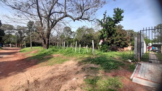 En Venta Terreno en Villa Elisa 