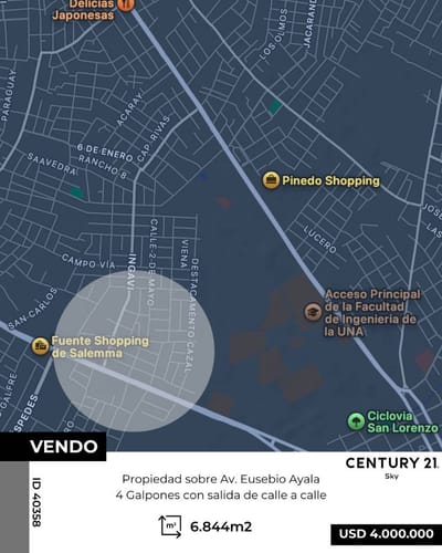 Complejo productivo 6.844 m² sobre Av. Eusebio Ayala | San L