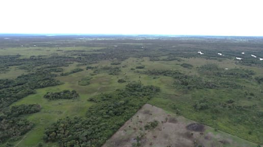 "Finca Mixta en Belén: 157 Has con Río Ypané"