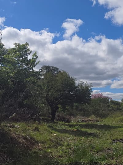 VENDO TERRENO EN SAN BERNARDINO - URBANIZACION CASA BLANCA