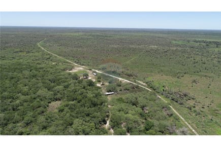 Estancia formada para cría de ganado