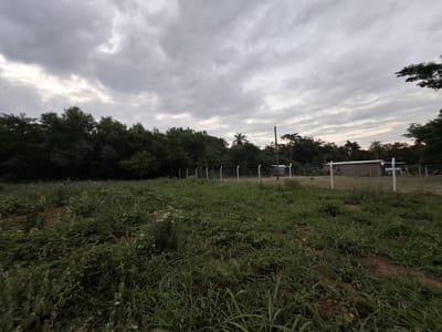 Terreno en Isla Valle Areguá