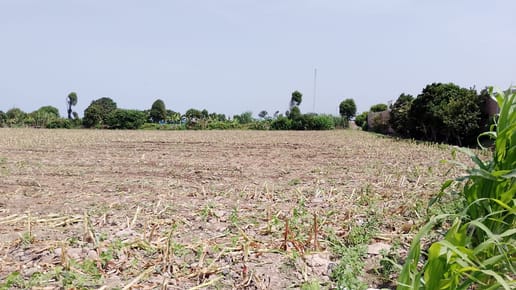Venta De Terreno En Chacra Y Mar Huaral