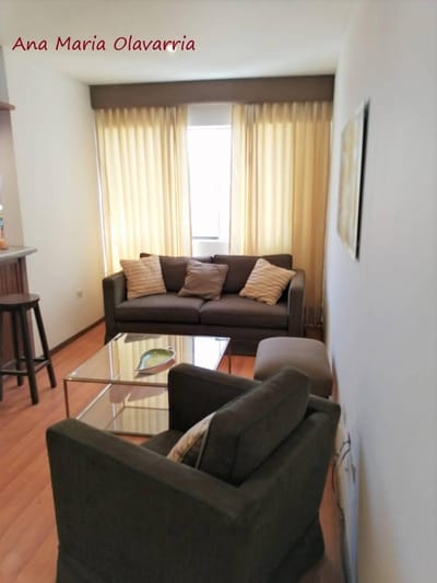 Alquilo Amoblado Precioso Departamento 1 Dormitorio, Magnus L