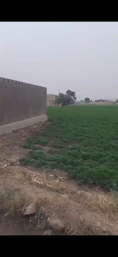 Terreno En Venta – Punchauca, Caudevilla