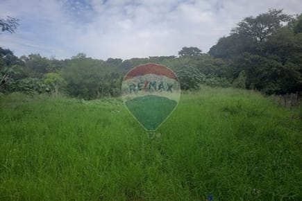 Terreno de 1.252 mts2 en Villa Elisa