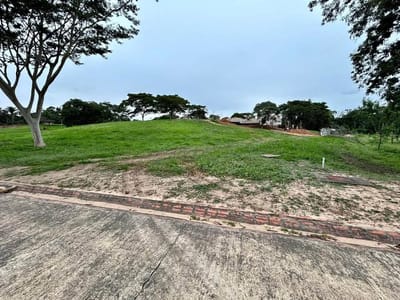  "COLINAS DEL URUBO SECTOR PALMERAS