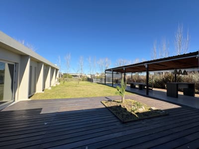 Viñedos de la tahona, una planta! excelente estado.