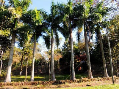 Hermosa Casa Quinta a metros del Lago Ypacaraí.
