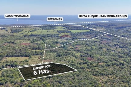 6 Hectáreas en Ciudad de Altos-Itagaza: Oportunidad Única en Venta