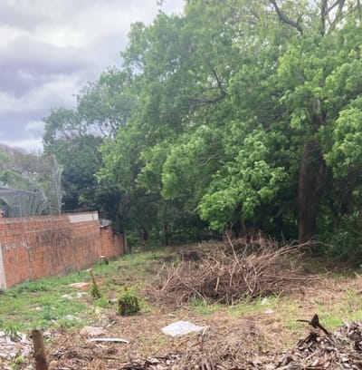 Vendo Terreno en Limpio 10 mts de frente