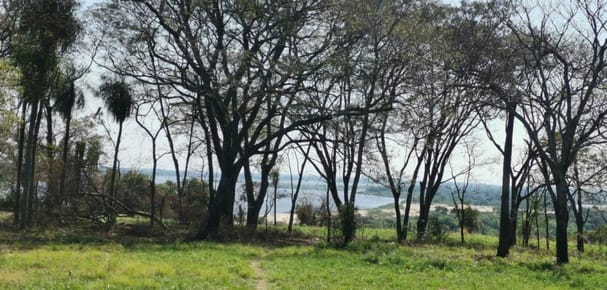 TERRENO EN VENTA – MARIANO ROQUE ALONSO