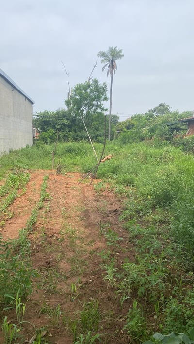 Vendo Terreno En Capiata Barrio Laurelty