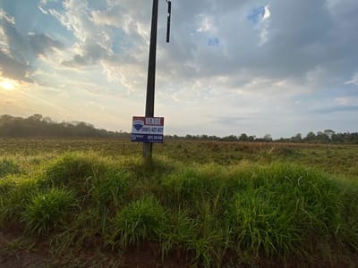 Vendo campo de 6.5 Ha en Carmen del Paraná
