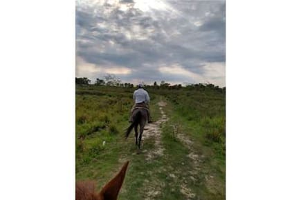 VENDO 353 HECTAREAS EN VILLA OLIVA
