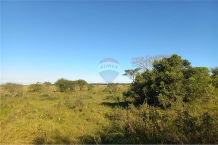 VENDO 54 HECTAREAS EN CORONEL BOGADO