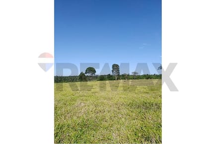 VENDO  Establecimiento Ganadero en Yvyra Róvana, Canindeyú 184 Hectáreas