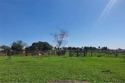VENDO 60 HECTAREAS EN CURUGUATY