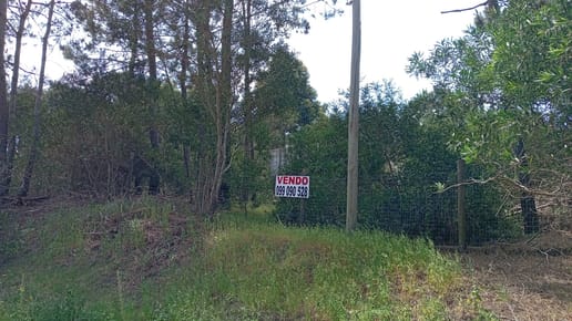 Terreno en La Paloma