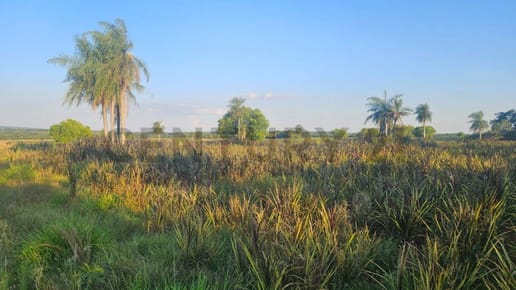 Venta de Estancia/Ganadera en Ybycuí, Paraguarí
