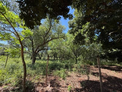 Vendo terreno de 1200m en Luque - Yukyry