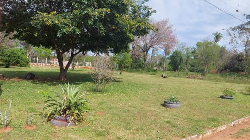 VENDO TRES TERRENOS JUNTOS EN AREGUA