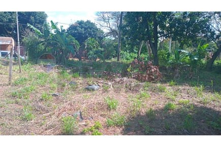 VENDO TERRENO EN ÑEMBY - BARRIO RINCON