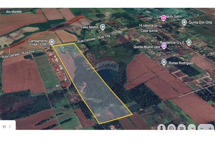 20 HECTAREAS SOBRE RUTA EN MINGA GUAZÚ EN VENTA