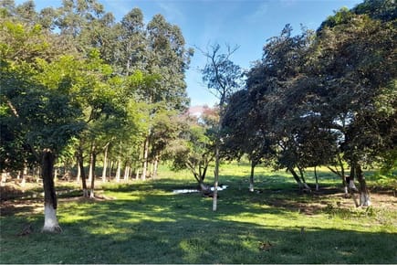 VENDO TERRENO EN YATAITY DEL NORTE