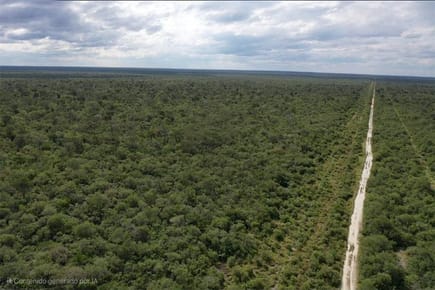 3.974 HECTÁREAS EN BAHÍA NEGRA: OPORTUNIDAD ÚNICA DE INVERSIÓN Y DESARROLLO