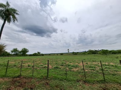 26 HECTAREAS EN YBYCUÍ EN VENTA