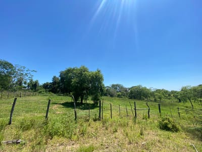 Vendo 11 terrenos juntos Limpio, Compañia Rincon