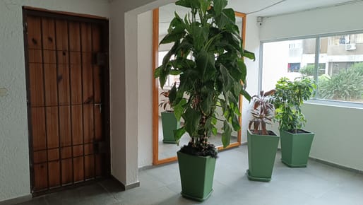 OPORTUNIDAD!! VENDO APTO.4 DORM. C/RENTA,EUSKALERRIA 71.