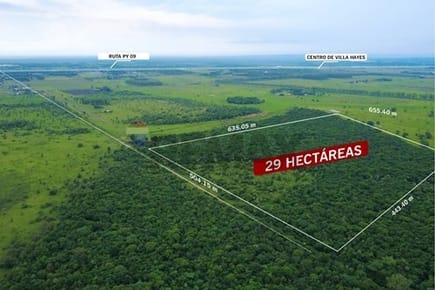 VENDO AMPLIO TERRENO DE 29 HECTAREAS EN VILLA HAYES
