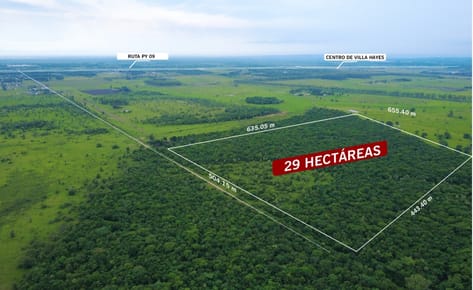Vendo 29 Ha En Villa Hayes