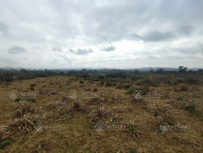 Venta chacra con costa arroyo. Ruta 12 Maldonado