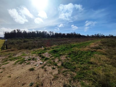 venta terreno la barra